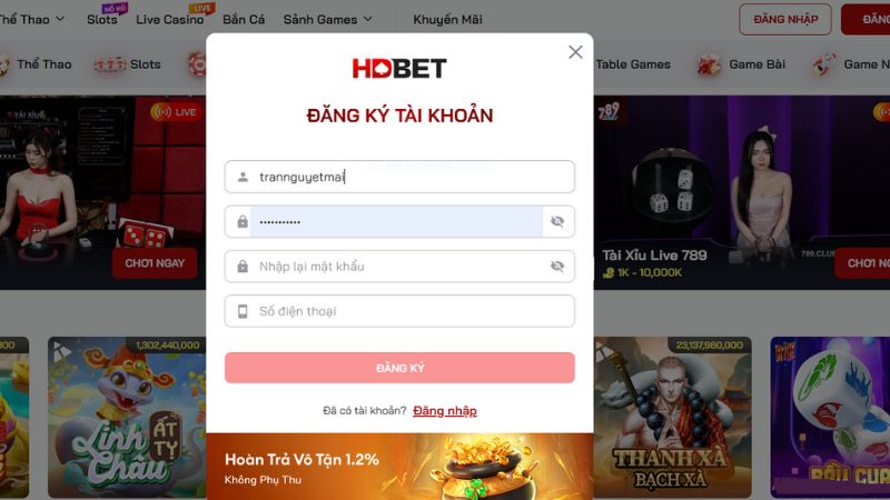 Anh em điền các thông tin cá nhân chính xác vào bảng yêu cầu đăng ký của hệ thống.