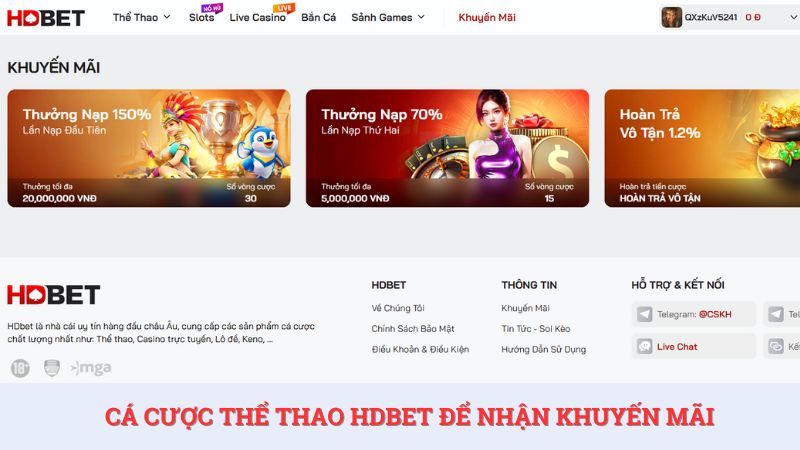 Cá cược thể thao sôi động với nhiều chương trình khuyến mãi hấp dẫn.
