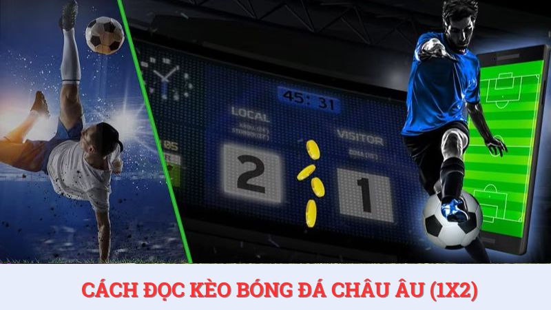 Cách đọc kèo bóng đá Việt Nam đối với kèo Châu Âu tại HDBET