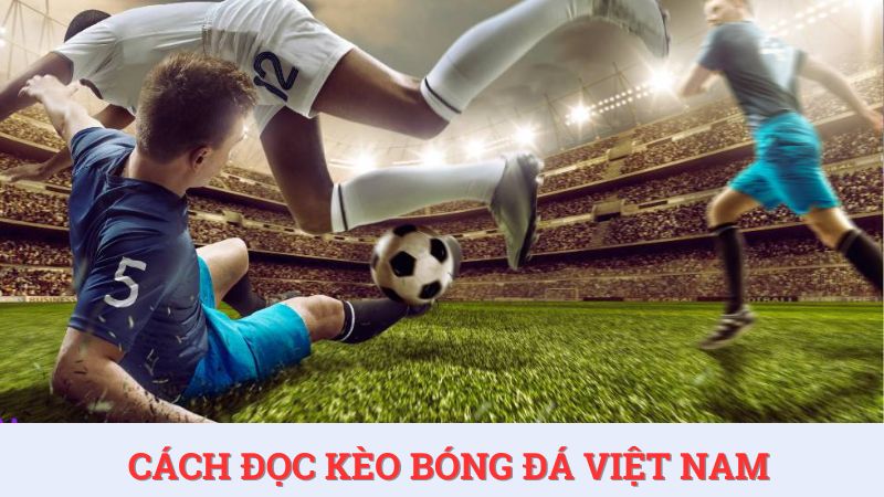 Cách đọc kèo bóng đá Việt Nam tại HDBET