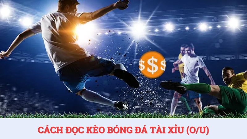 Cách đọc kèo bóng đá Việt Nam đối với kèo tài xỉu tại HDBET