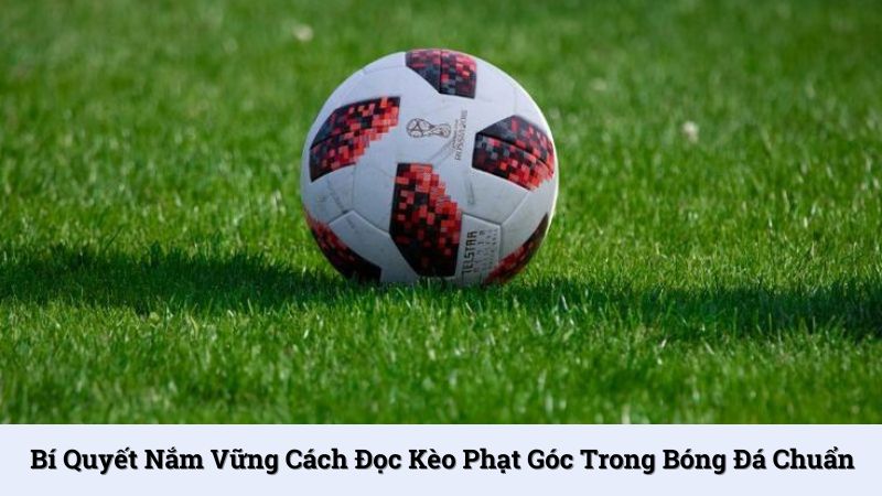 Cách đọc kèo phạt góc trong bóng đá chuẩn