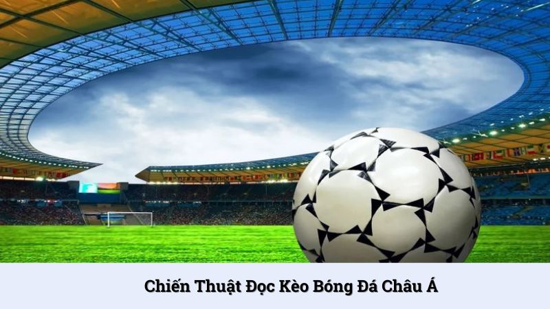 Chiến thuật đọc kèo bóng đá châu Á rất đơn giản