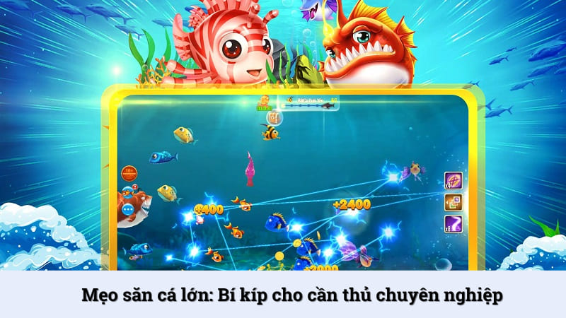 Mẹo săn cá lớn: Bí kíp cho cần thủ chuyên nghiệp